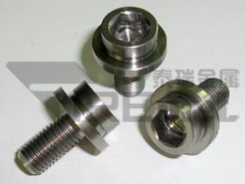 Titanium Crank Bolt